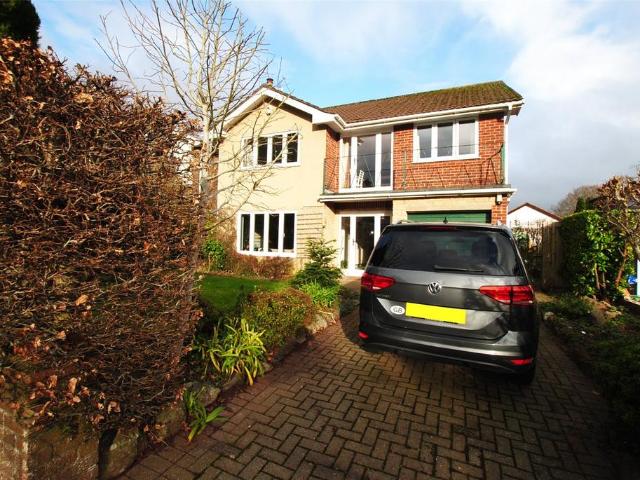 House for sale in Falcon Lodge, Wales