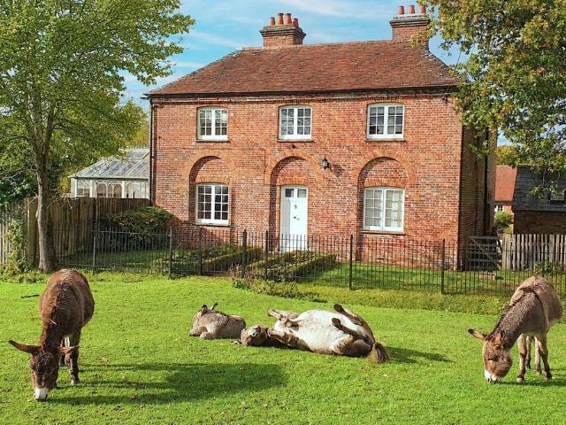 House for sale in Ashurst Bridge, Hampshire