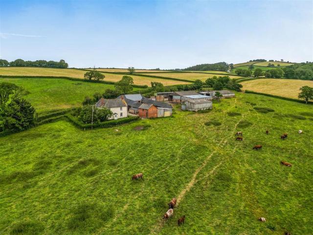 House for sale in Newton St Cyres, Devon
