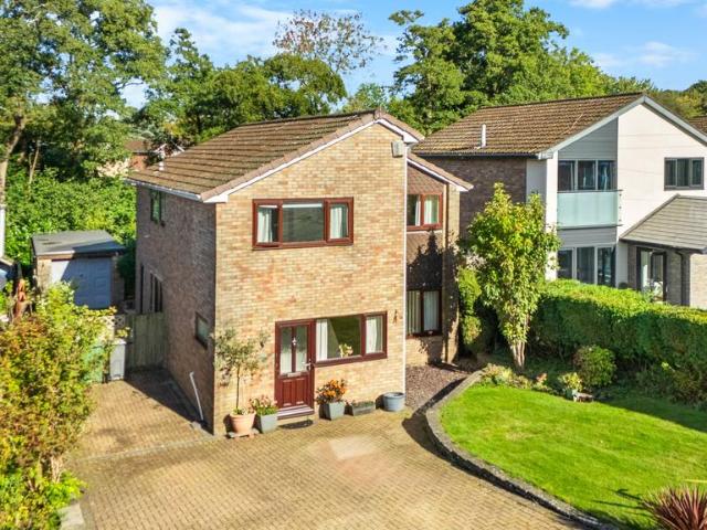 House for sale in Falcon Lodge, Wales