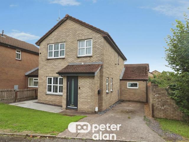 House for sale in Falcon Lodge, Wales