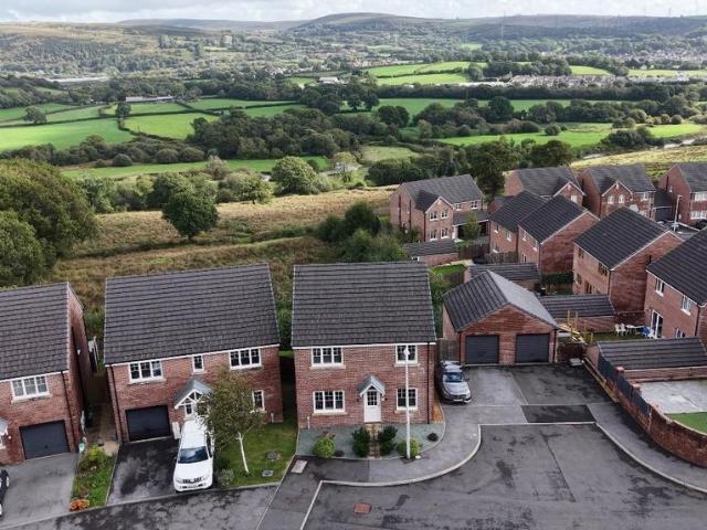 House for sale in Llanedi, Fforest