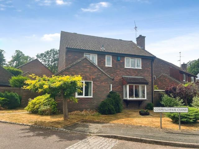 House for sale in Emmbrook, Wokingham