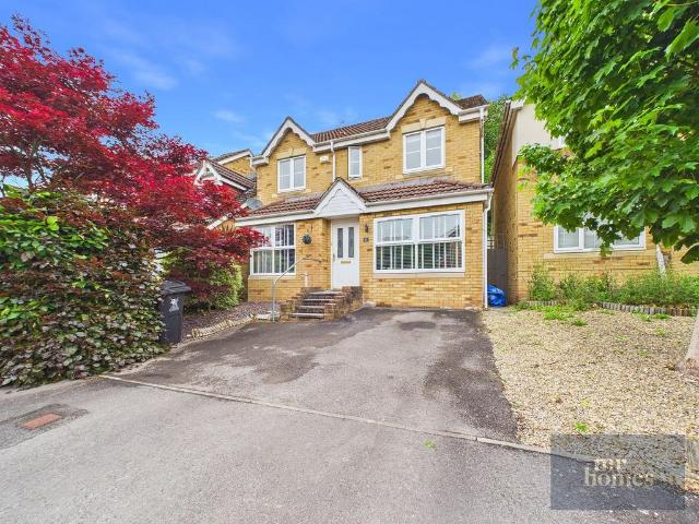House for sale in Falcon Lodge, Wales