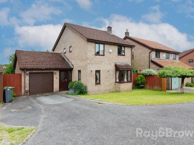 House for sale in Falcon Lodge, Wales