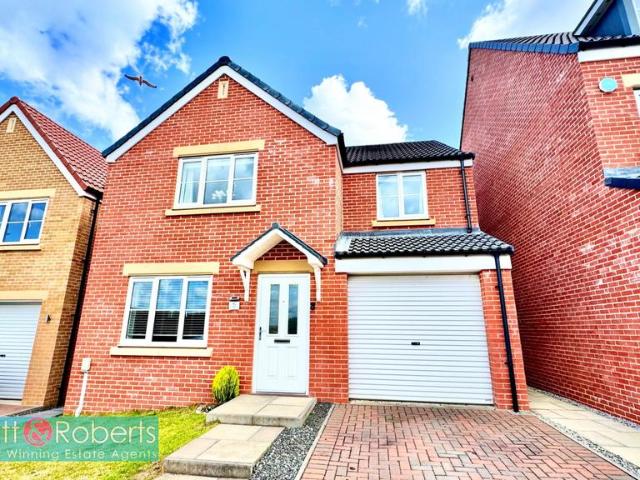 House for sale in Burnside, Tyne And Wear