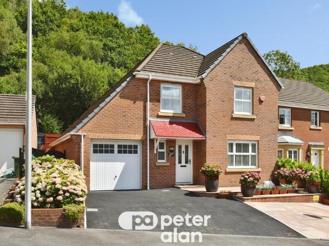 House for sale in Wales