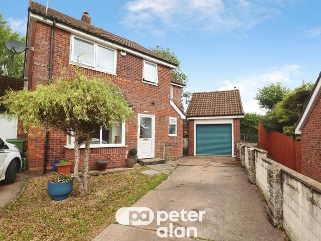 House for sale in Falcon Lodge, Wales