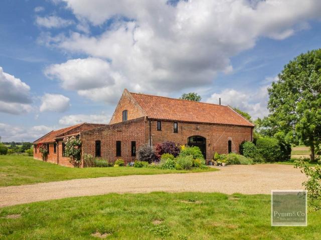 House for sale in Caistor St Edmund, South Norfolk