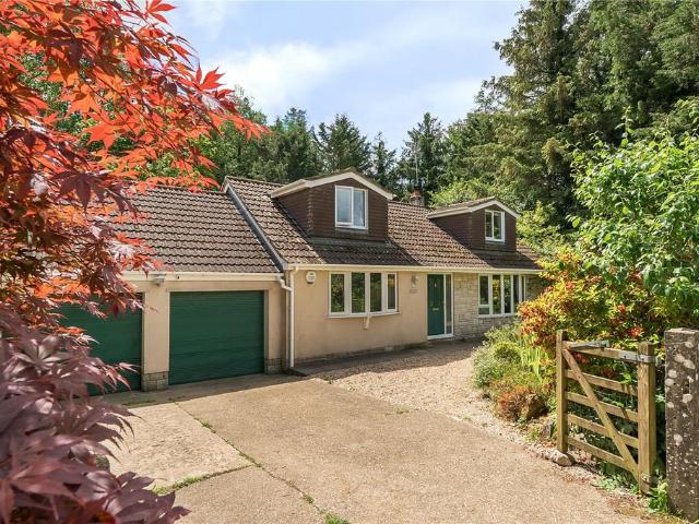 House for sale in Combe St Nicholas, Somerset