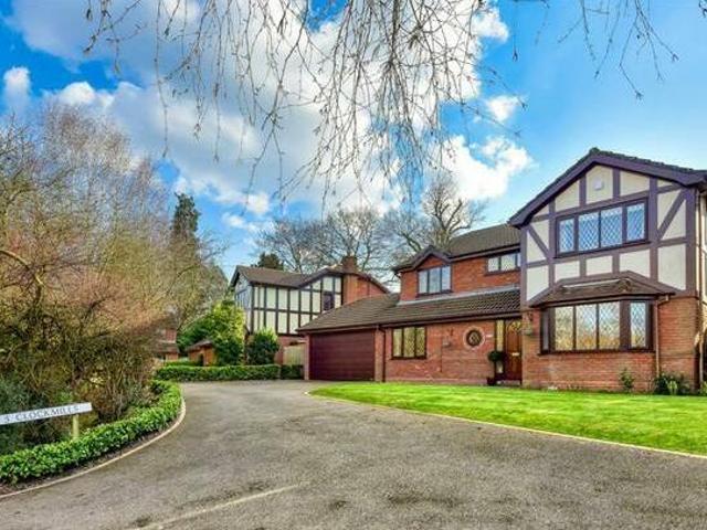 House for rent