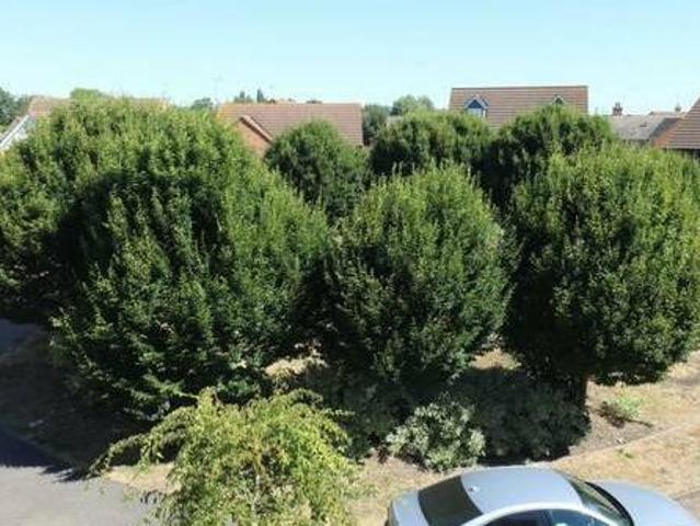 House for rent in Greater Lincolnshire, England