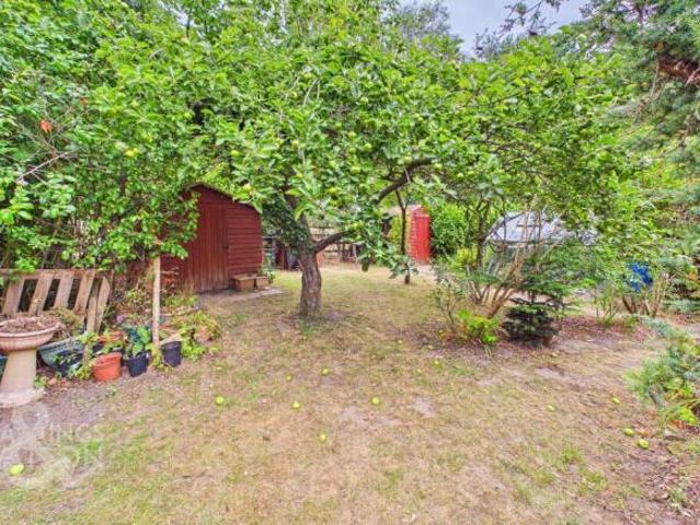 Farm for sale in Burgh St Peter, Norfolk