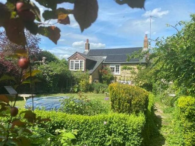 House for rent
