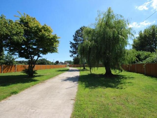 Farm for sale