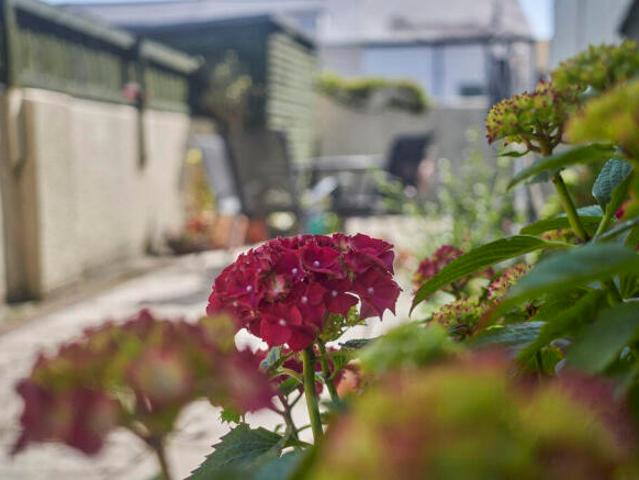 Farm for sale in Watergate, Devon