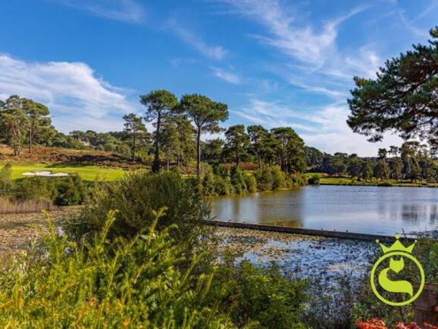 Farm for sale in Lilliput, Poole