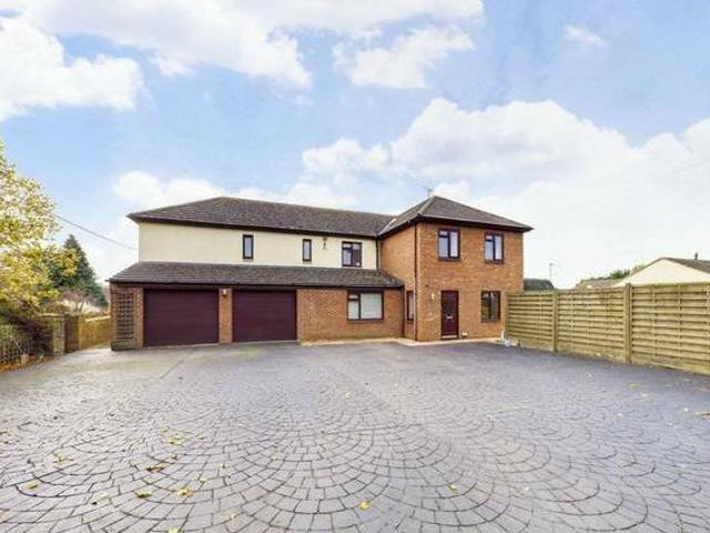 House for rent