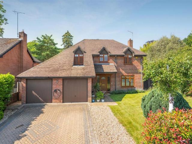 House for rent in Sunninghill and Ascot, Sunninghill