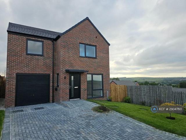 House for rent in Bearpark