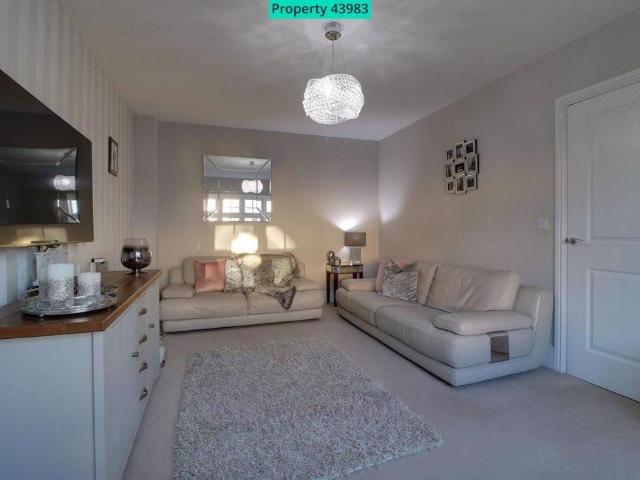 House for rent in Hammond Street