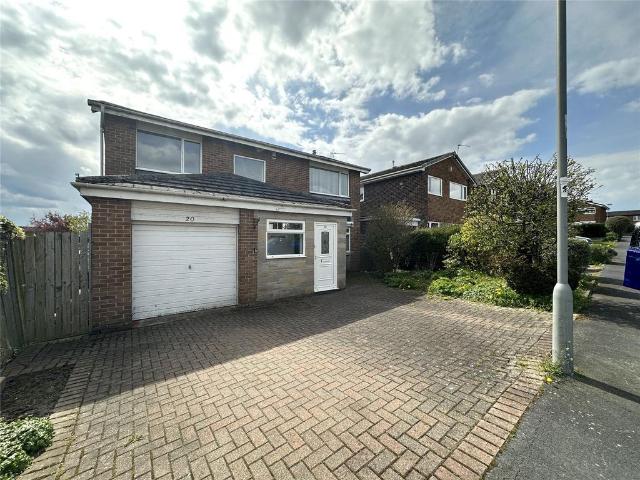 House for rent in Alum Waters, Broompark