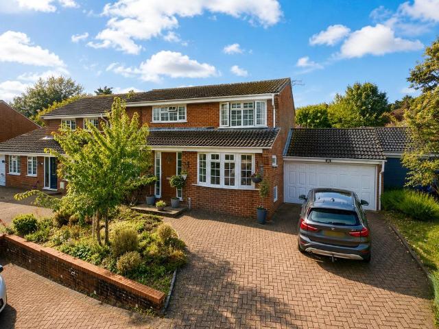 House for rent in Upper Hale, Fole