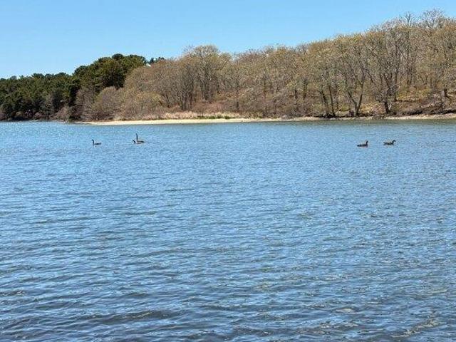 House for sale in Edgartown, Massachusetts