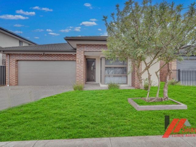 House for rent in The Reserve, Melbourne