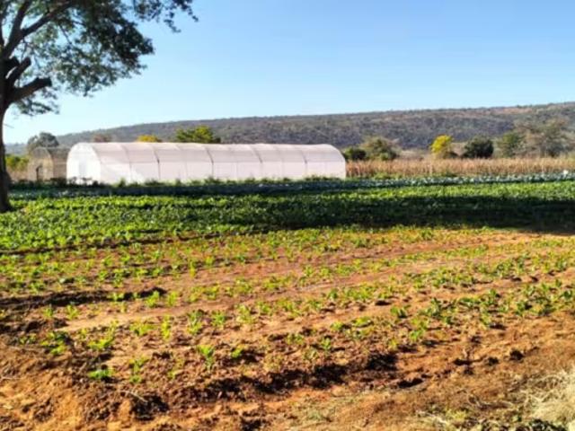 Farm for sale in Modimolle, Modimolle Local Municipality