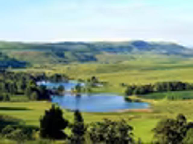 Farm for sale