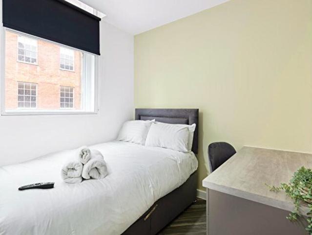 Apartment for rent in The Meadows, Haddon