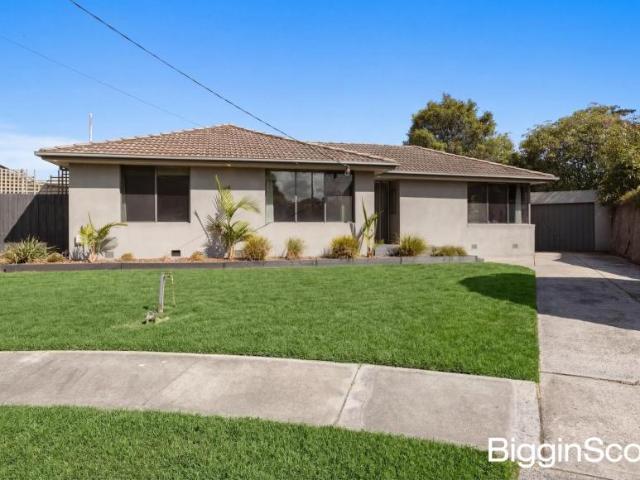 House for sale in Camerons Creek, Victoria