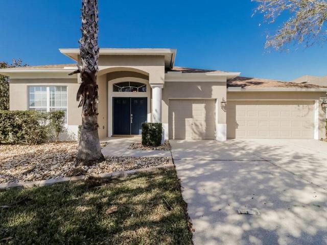House for rent in Wesley Chapel, Pasco County