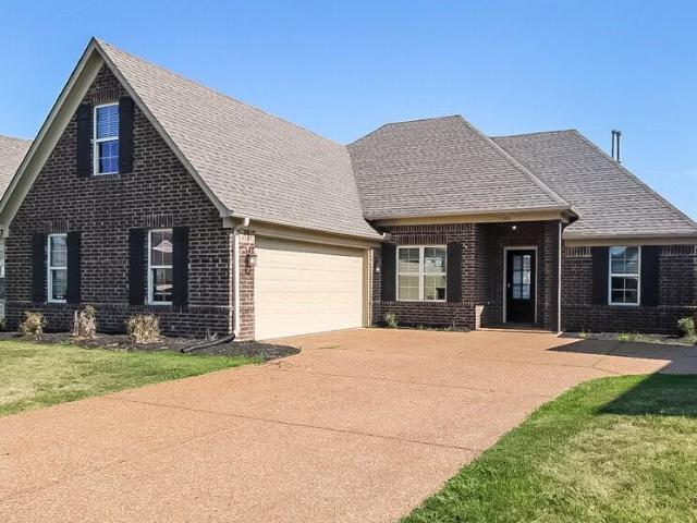House for rent in Southaven, Mississippi