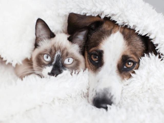 House for rent in Jacksonville, Florida