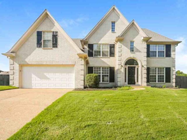 House for rent in Nesbit, Mississippi