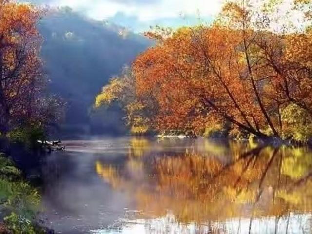 House for rent in Port Moody, British Columbia