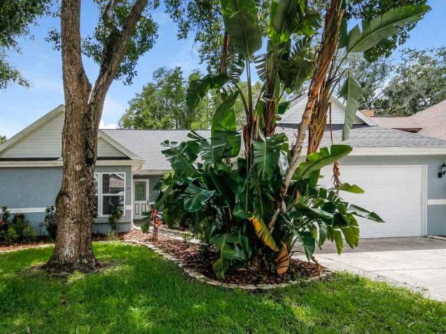 House for rent in Saint Petersburg, Pinellas County