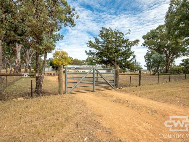 House for sale in Wellingrove, New South Wales