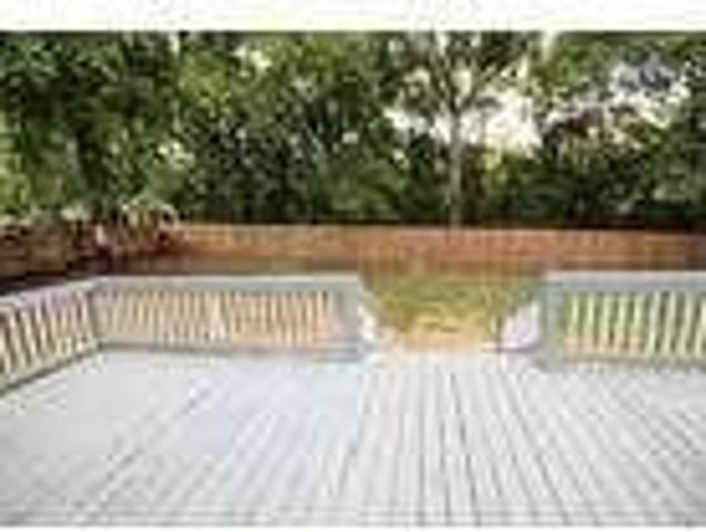 House for rent in Cantonment