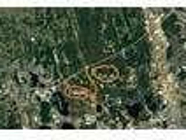 House for rent in Lake Alfred
