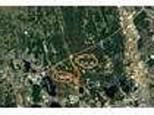 House for rent in Lake Alfred, Florida
