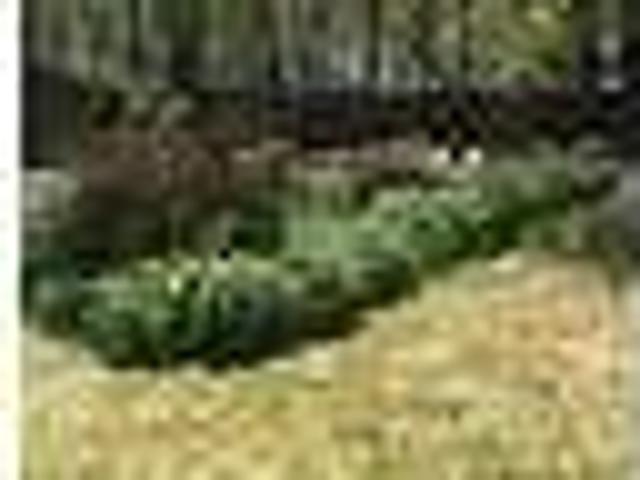 House for rent in Lawrenceville, Georgia