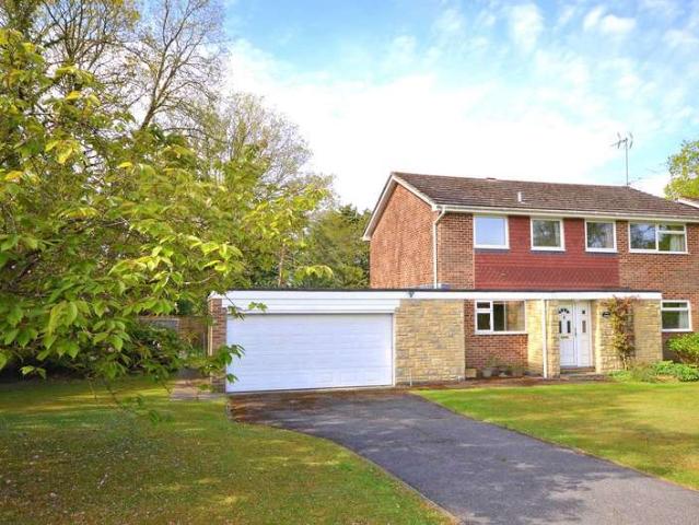 House for rent in Fole, Surrey