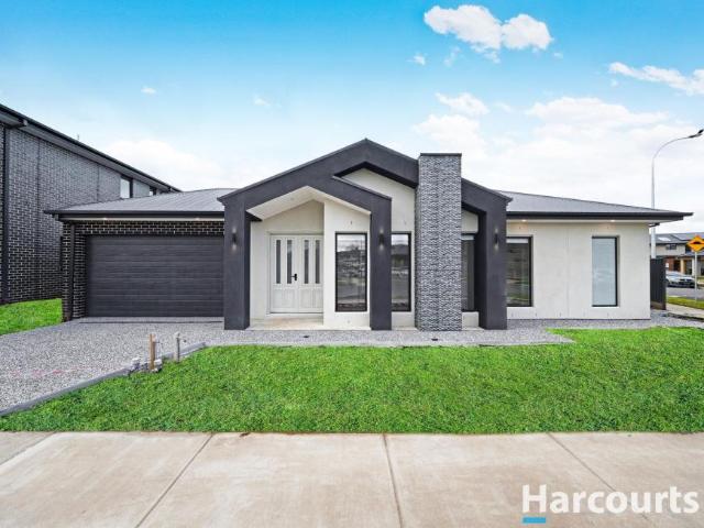 House for rent in Minta Estate, Melbourne