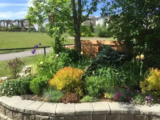 House for rent in Northwest, Alberta