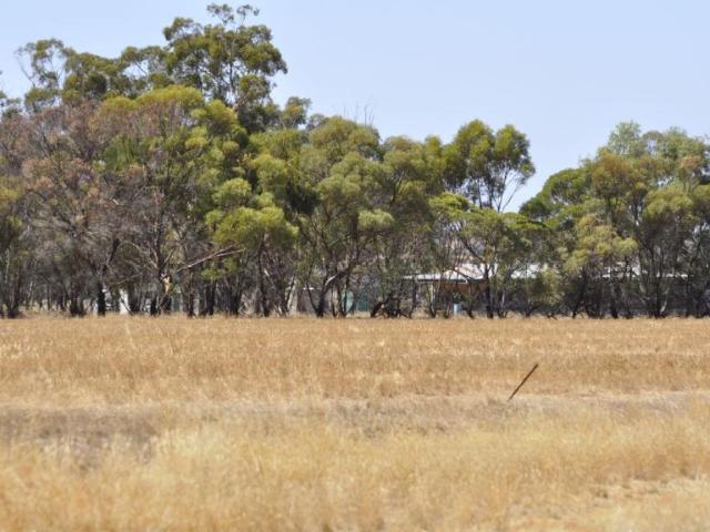 House for sale in Coblinine, Katanning