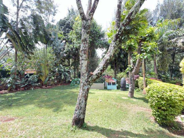 House for rent in Kitisuru, Westlands