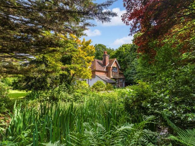 House for sale in Ramsnest Common, Fole
